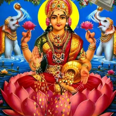 323521538_1156691441644825_7493534451623826578_n